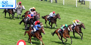 Cá cược đua ngựa – Môn thể thao kịch tính giải trí hấp dẫn