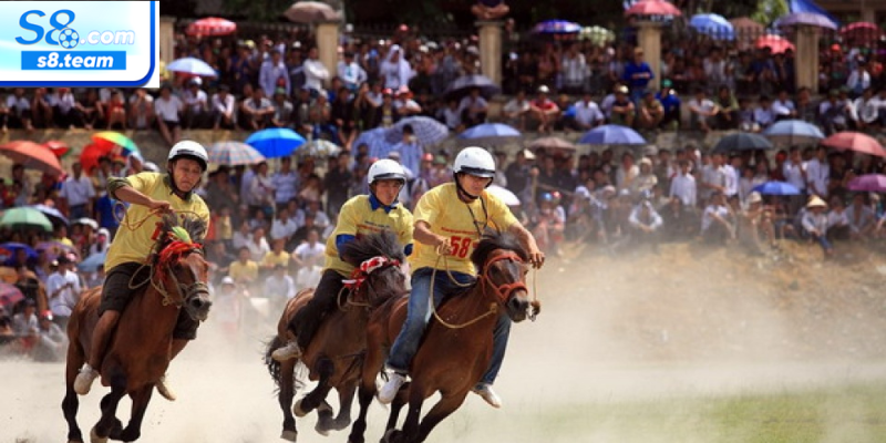 Kinh nghiệm và bí quyết khi cá cược đua ngựa