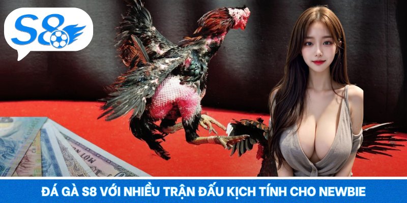 Đá gà S8 với nhiều trận đấu kịch tính cho newbie
